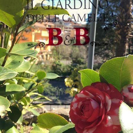 B&B Il Giardino Delle Camelie Palestrina Exterior photo