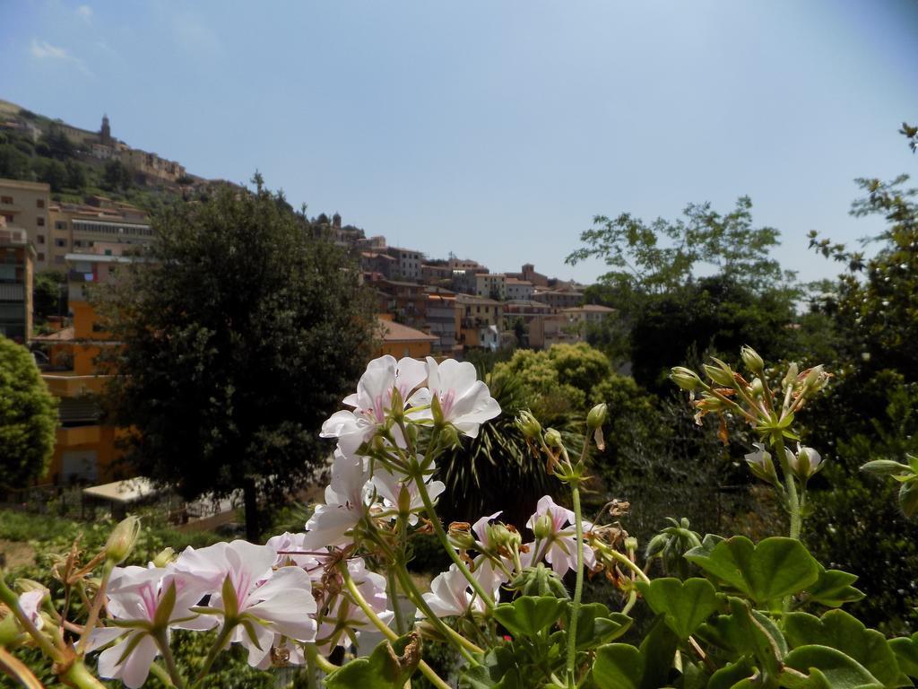 B&B Il Giardino Delle Camelie Palestrina Exterior photo