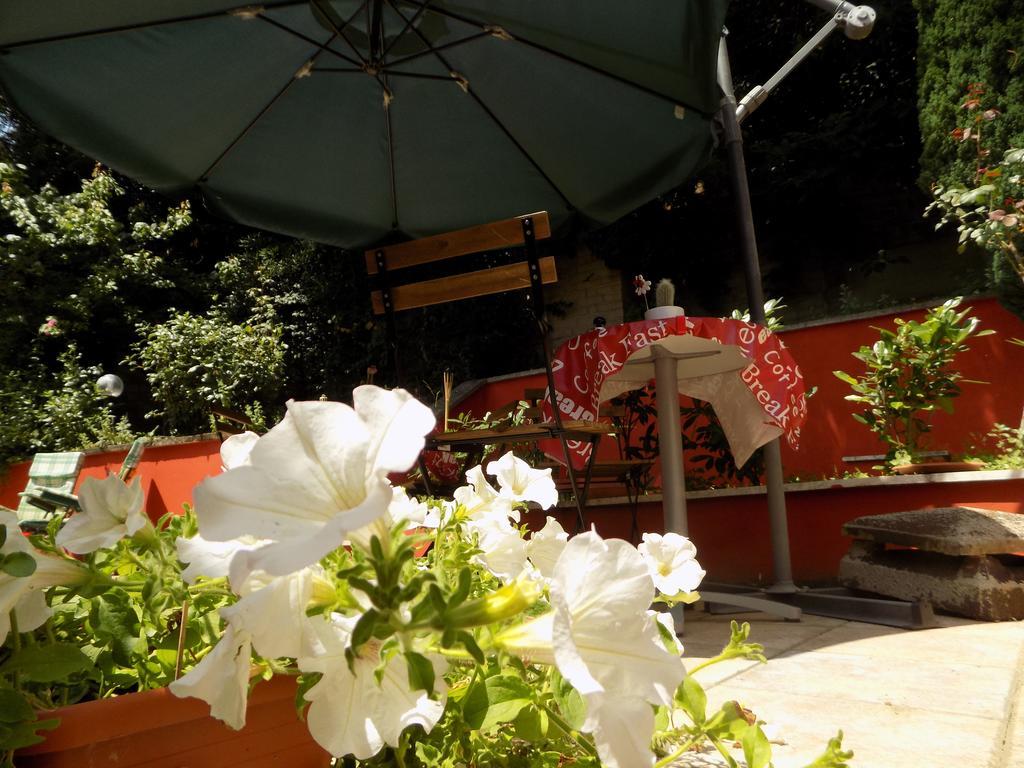B&B Il Giardino Delle Camelie Palestrina Exterior photo