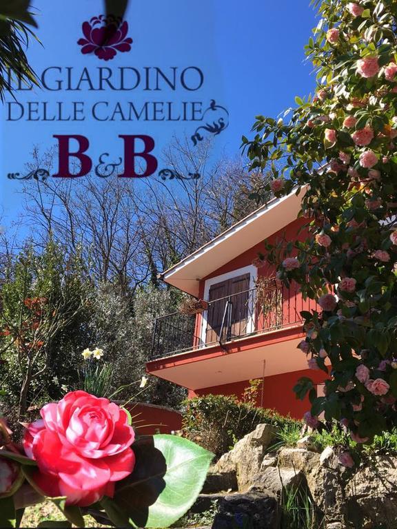 B&B Il Giardino Delle Camelie Palestrina Exterior photo