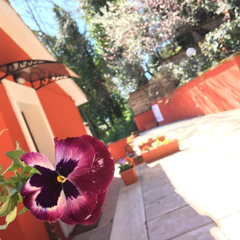 B&B Il Giardino Delle Camelie Palestrina Exterior photo