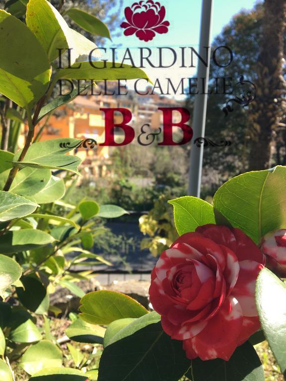 B&B Il Giardino Delle Camelie Palestrina Exterior photo