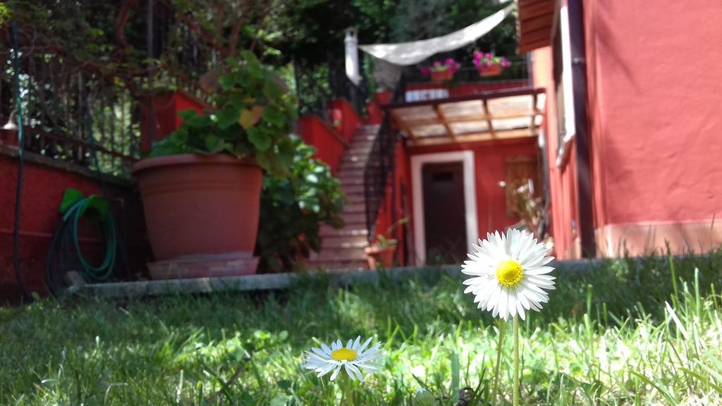 B&B Il Giardino Delle Camelie Palestrina Exterior photo