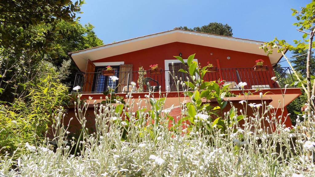 B&B Il Giardino Delle Camelie Palestrina Exterior photo
